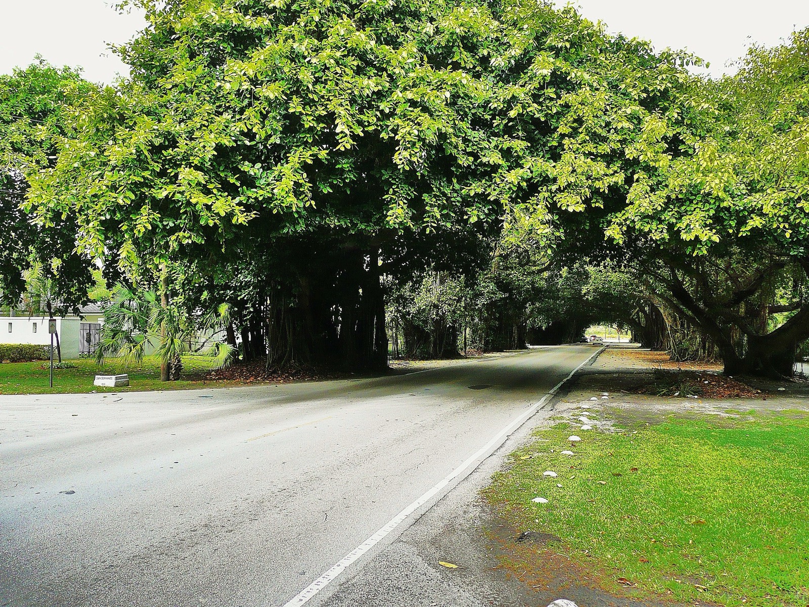 Old Cutler Bay